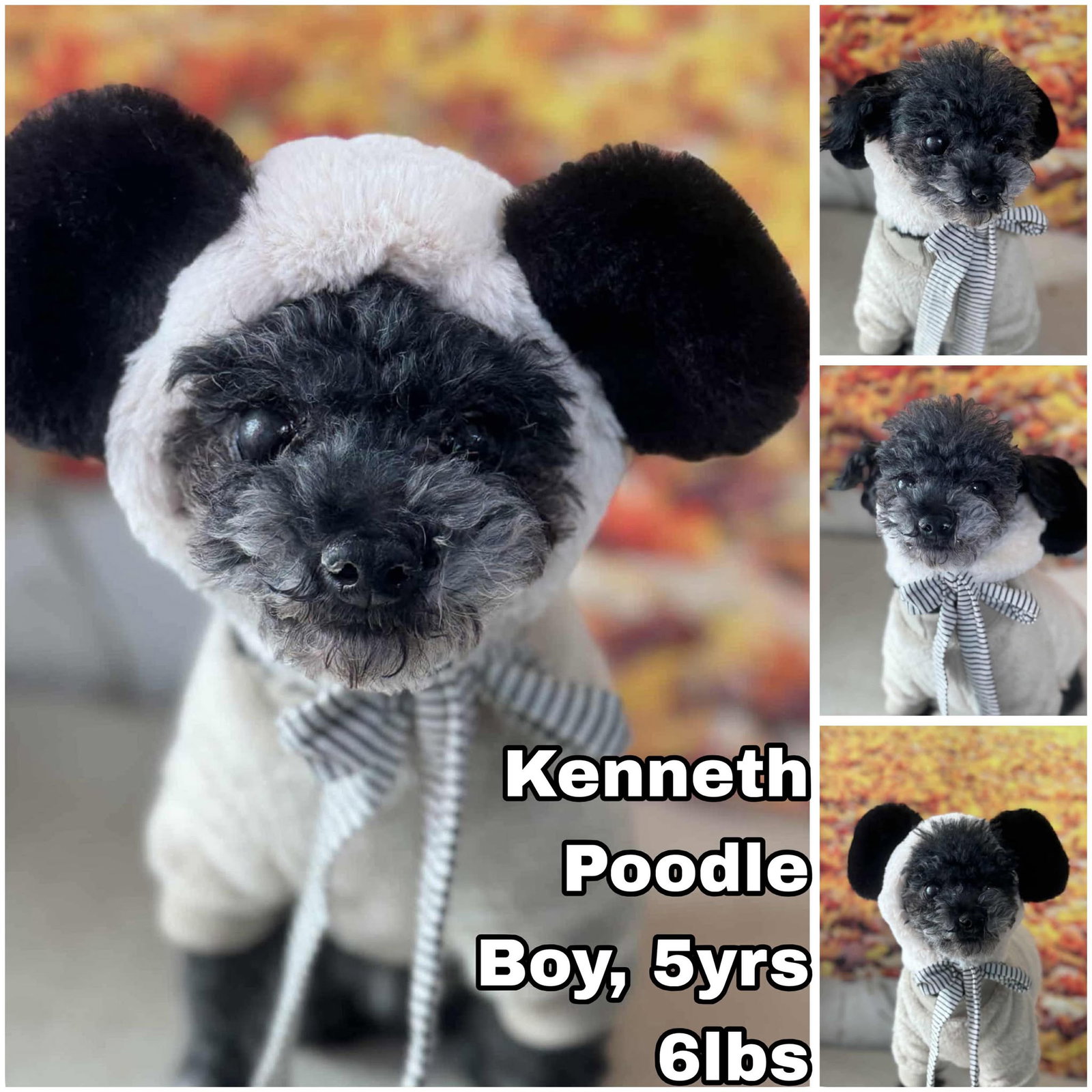 Kenneth from Korea Image