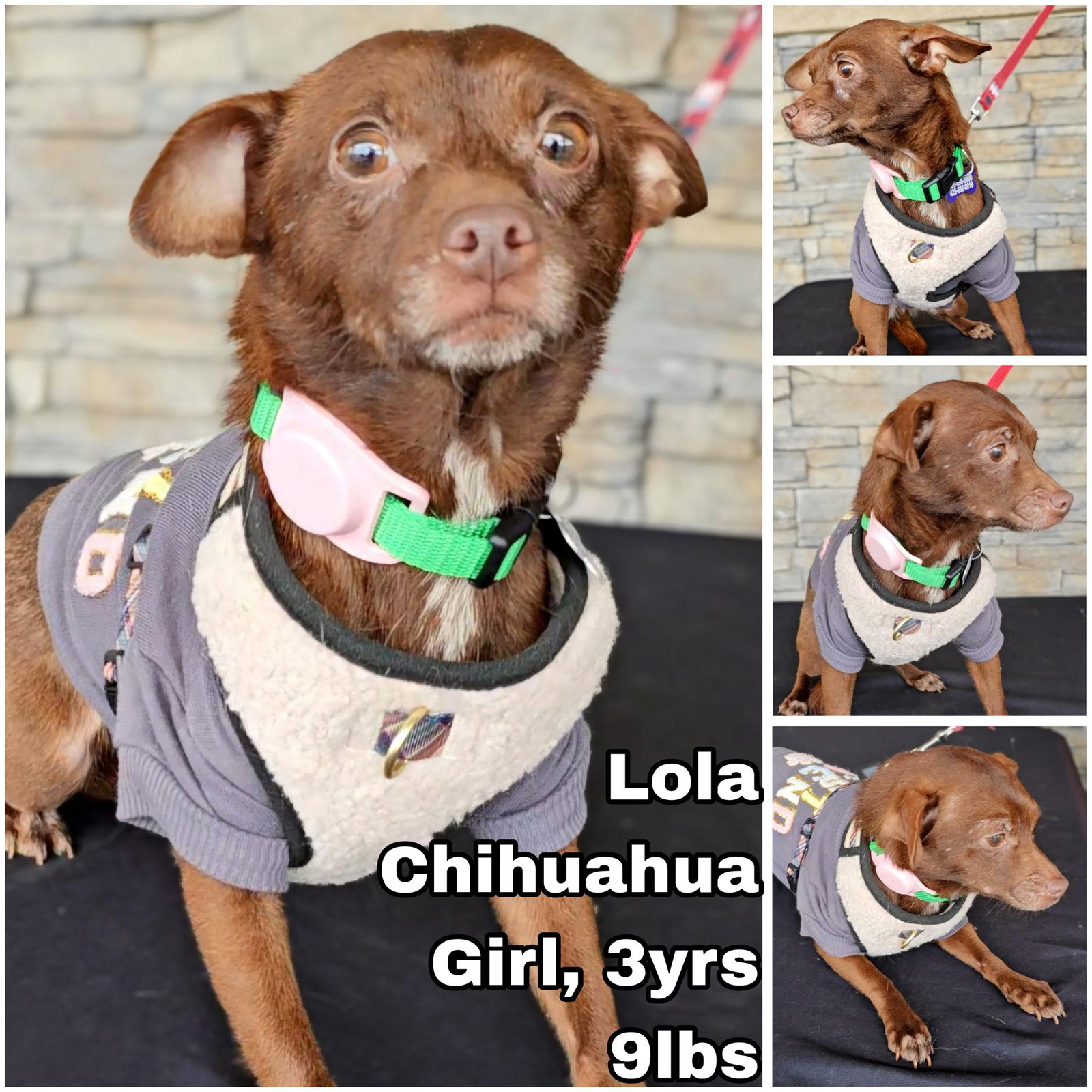 Lola from Mexico, Chihuahua