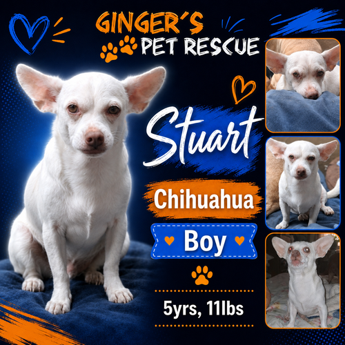 Stuart From Mexico