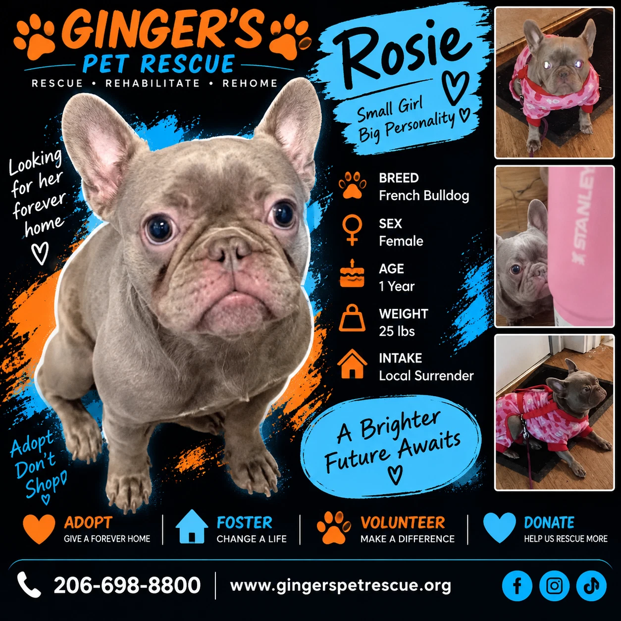 Rosie Fox