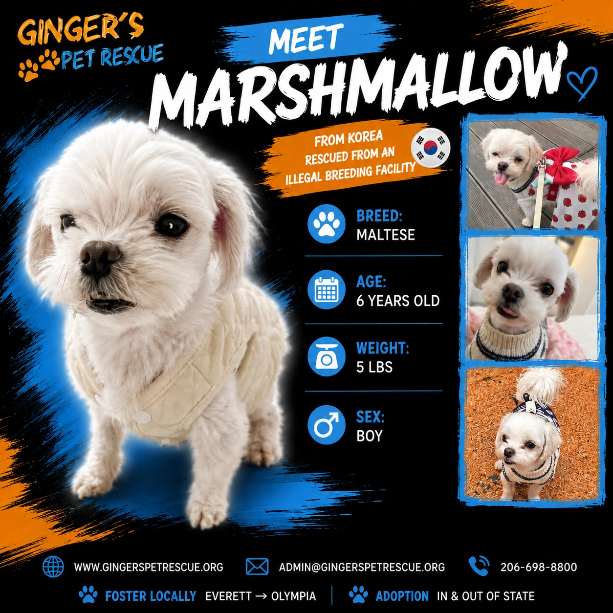 Marhmallow