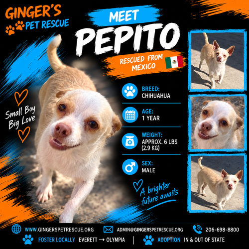 Pepito from Mexico