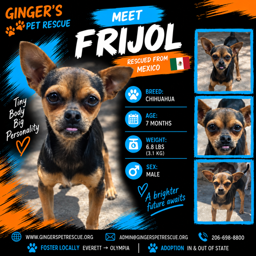 Frijol from Mexico