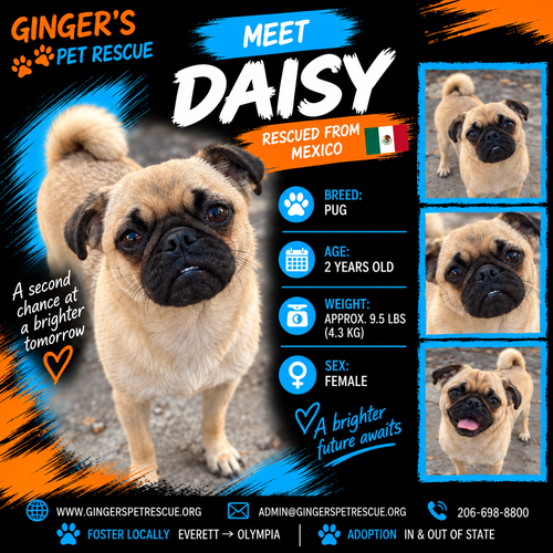 Daisy from Mexico
