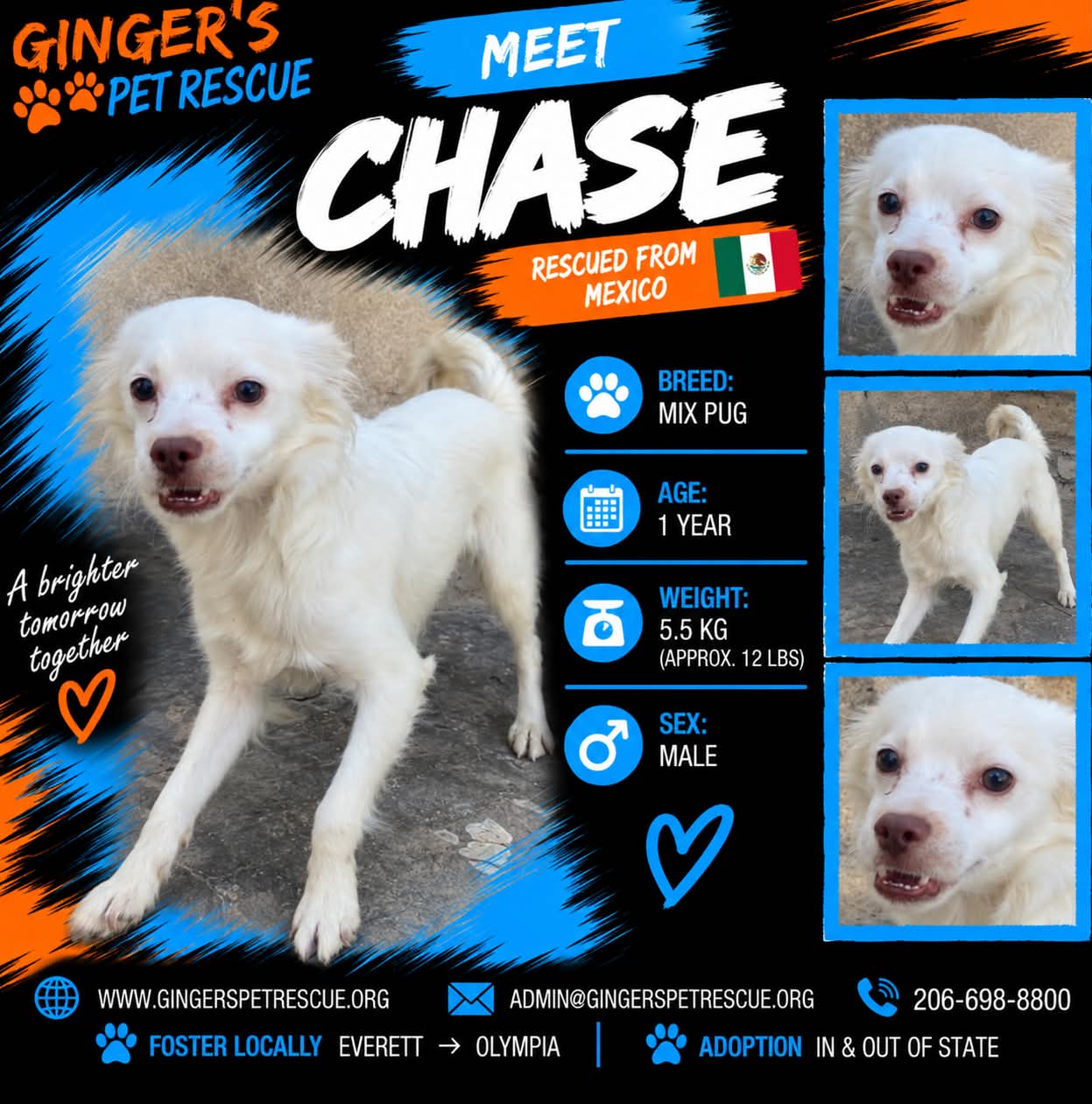 Chase From Mexico