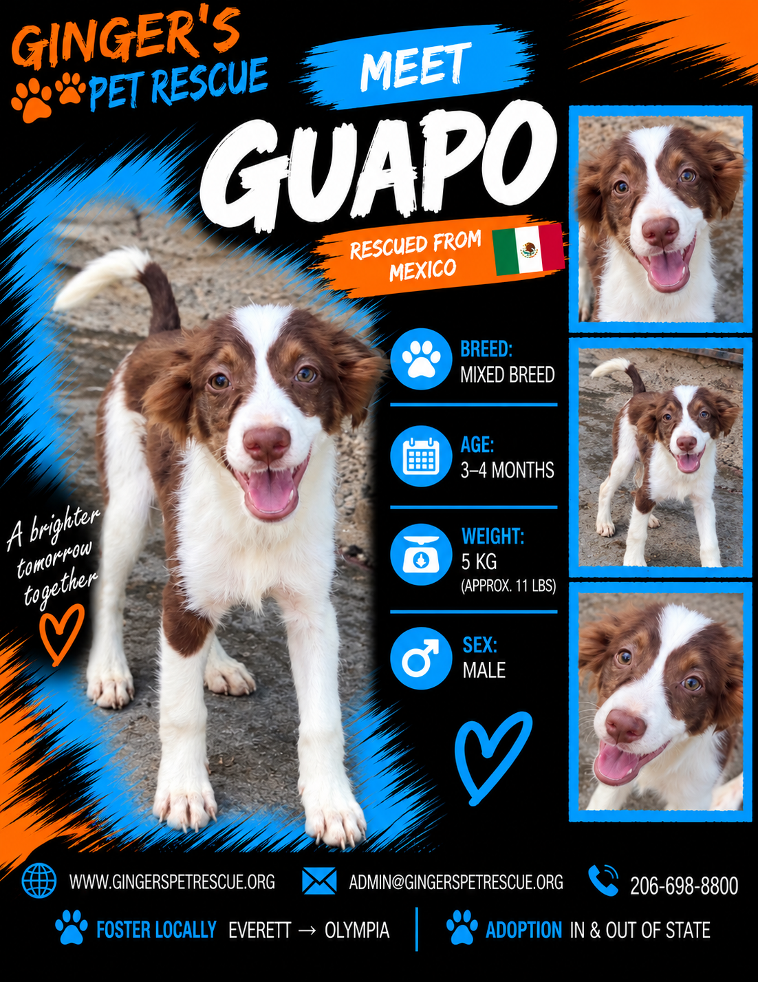 Guapo From Mexico