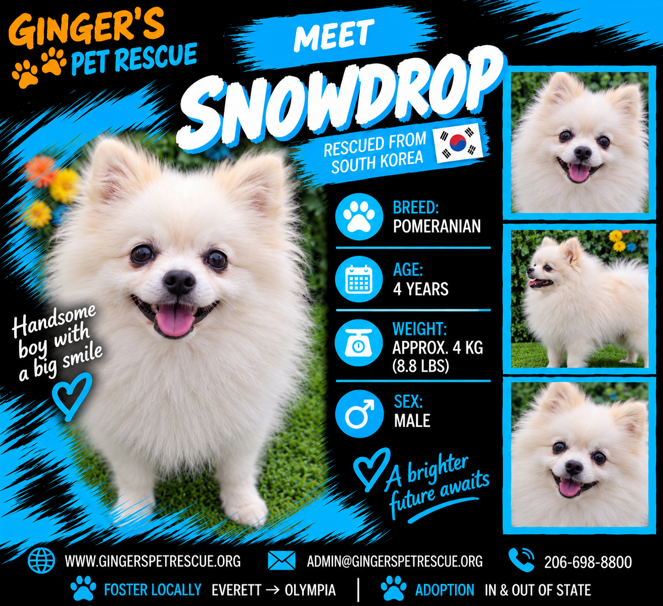 Snowdrop From Korea