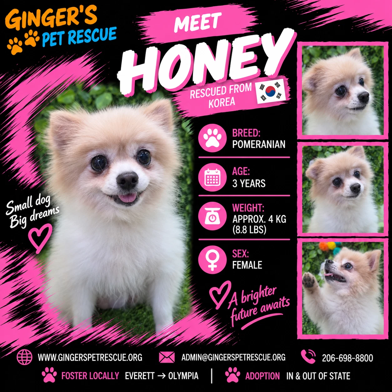 Honey From Korea