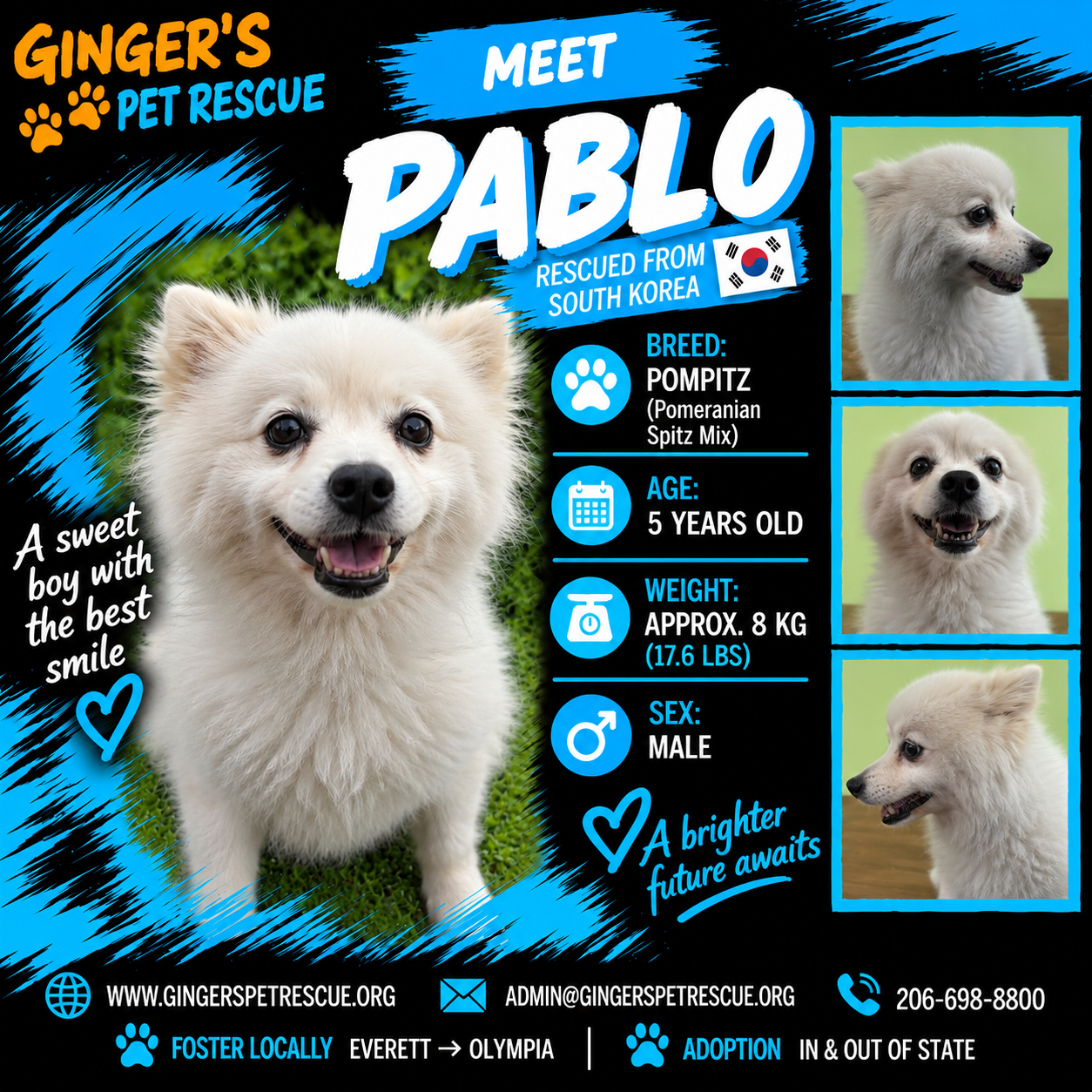Pablo From Korea
