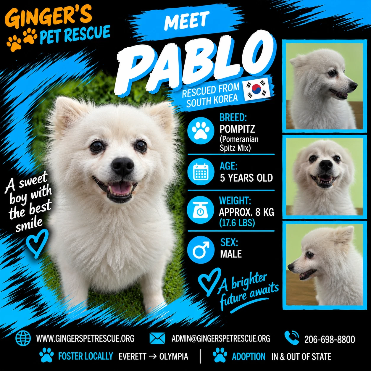 Pablo From Korea