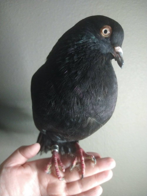 Photo 4 of Cortez