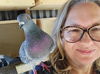 adoptable Bird in San Francisco, CA named Rufus w/ Harper