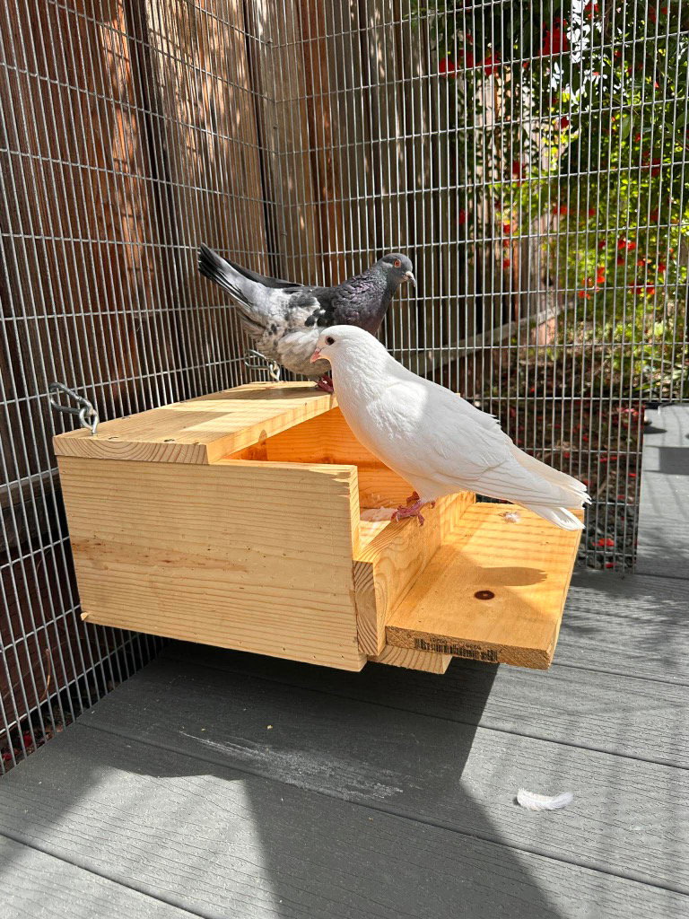Spirit w/Buoy, photo 2