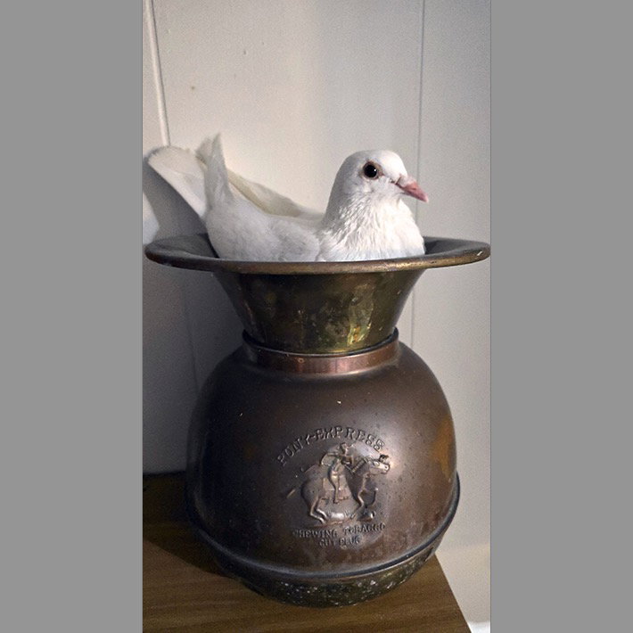 Spittoon w/Sultan