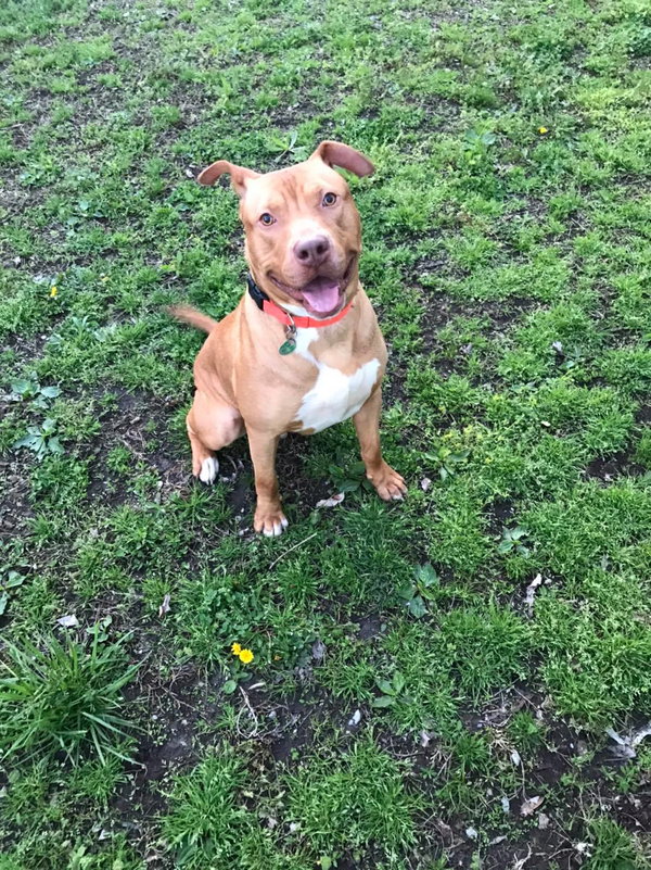 Roscoe