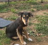 Lenny