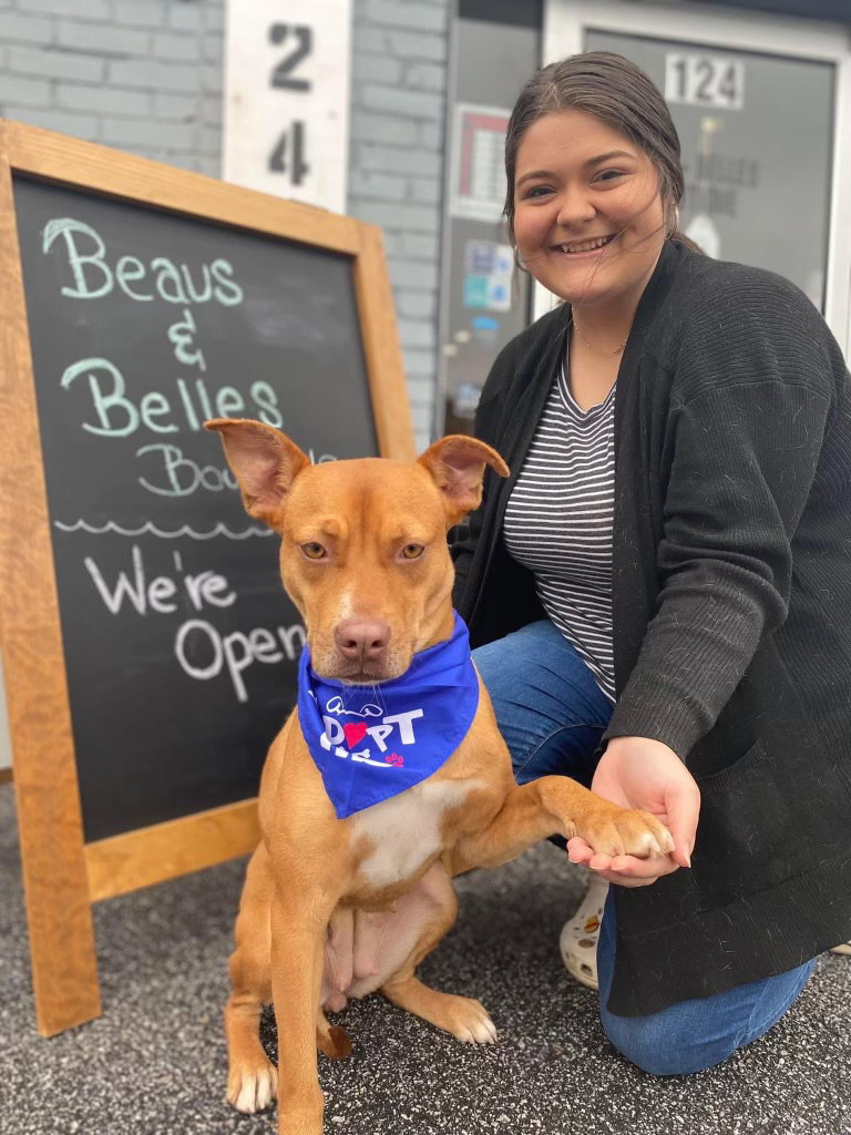 Dog for Adoption Quinn, a Terrier in Hammonton, NJ Alpha Paw