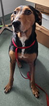Jethro - Photo 5