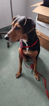 Jethro - Photo 6