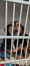Jethro - Photo 7