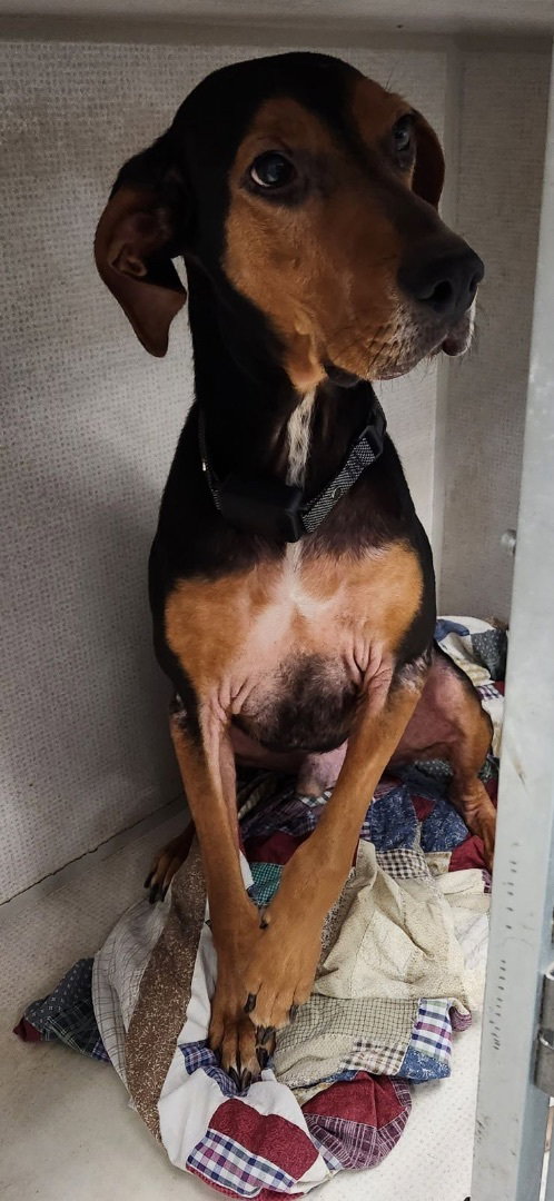 Jethro