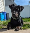 Prue
