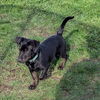 Prue