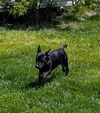 Prue