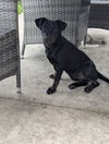 Prue