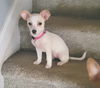 Lucy