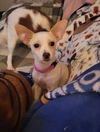 Lucy