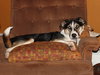 Holly - Photo 2