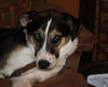 Holly - Photo 3