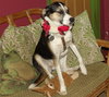 Holly - Photo 5