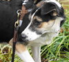 Holly - Photo 7