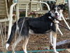 Holly - Photo 8