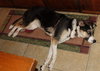 Holly - Photo 9
