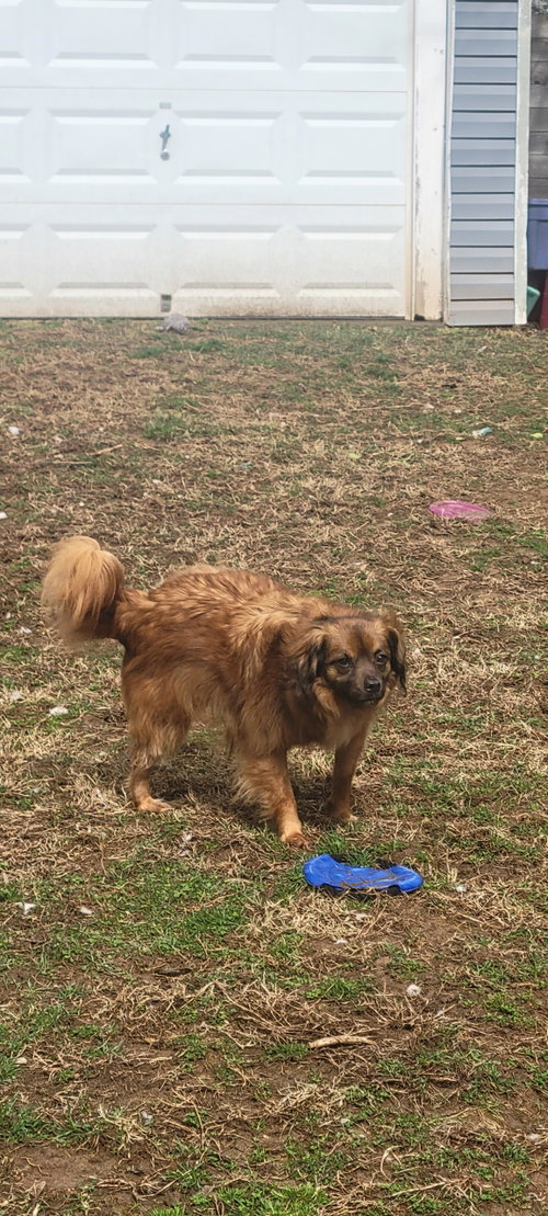 Jack Jr. photo 5