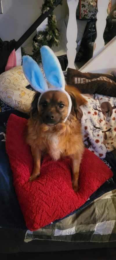 Jack Jr. photo 10