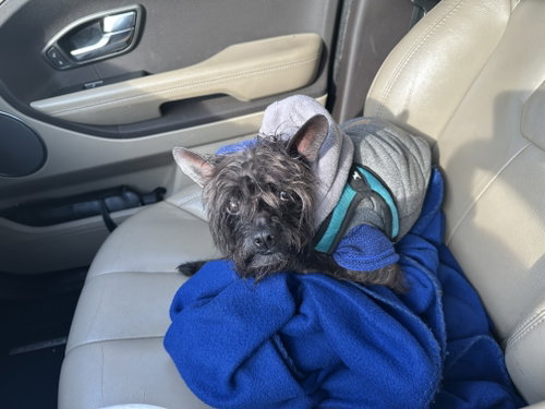Pablo, photo 2