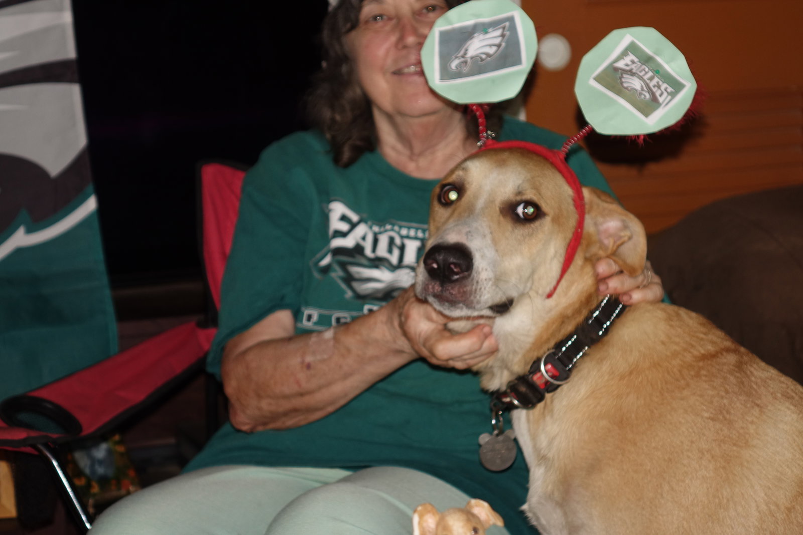 Odie, photo 7