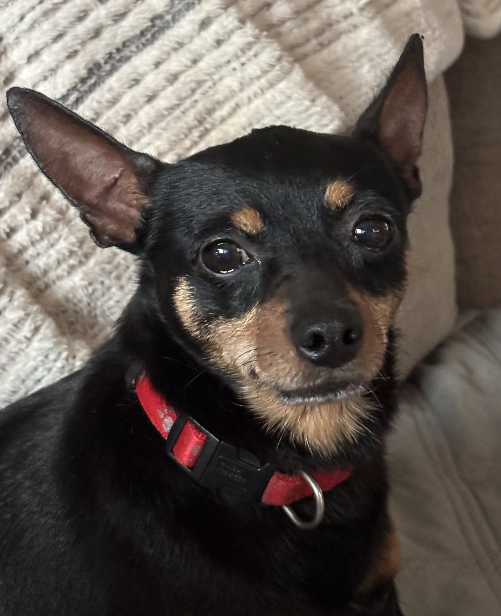 Haven, Chihuahua