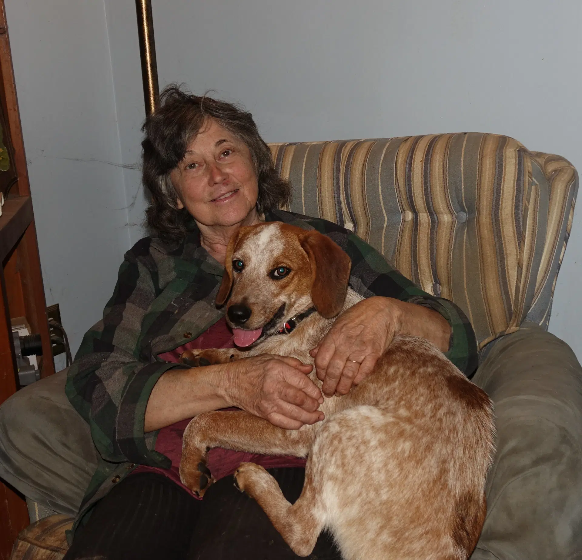 Cody image 3