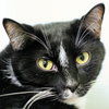 Wilson - Photo 2