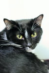 Wilson - Photo 7