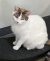 Mary Anne - Photo 2