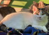 Mary Anne - Photo 3