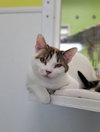 Mary Anne - Photo 4