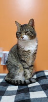 Frank - Photo 3