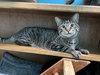 Hardee - Photo 2